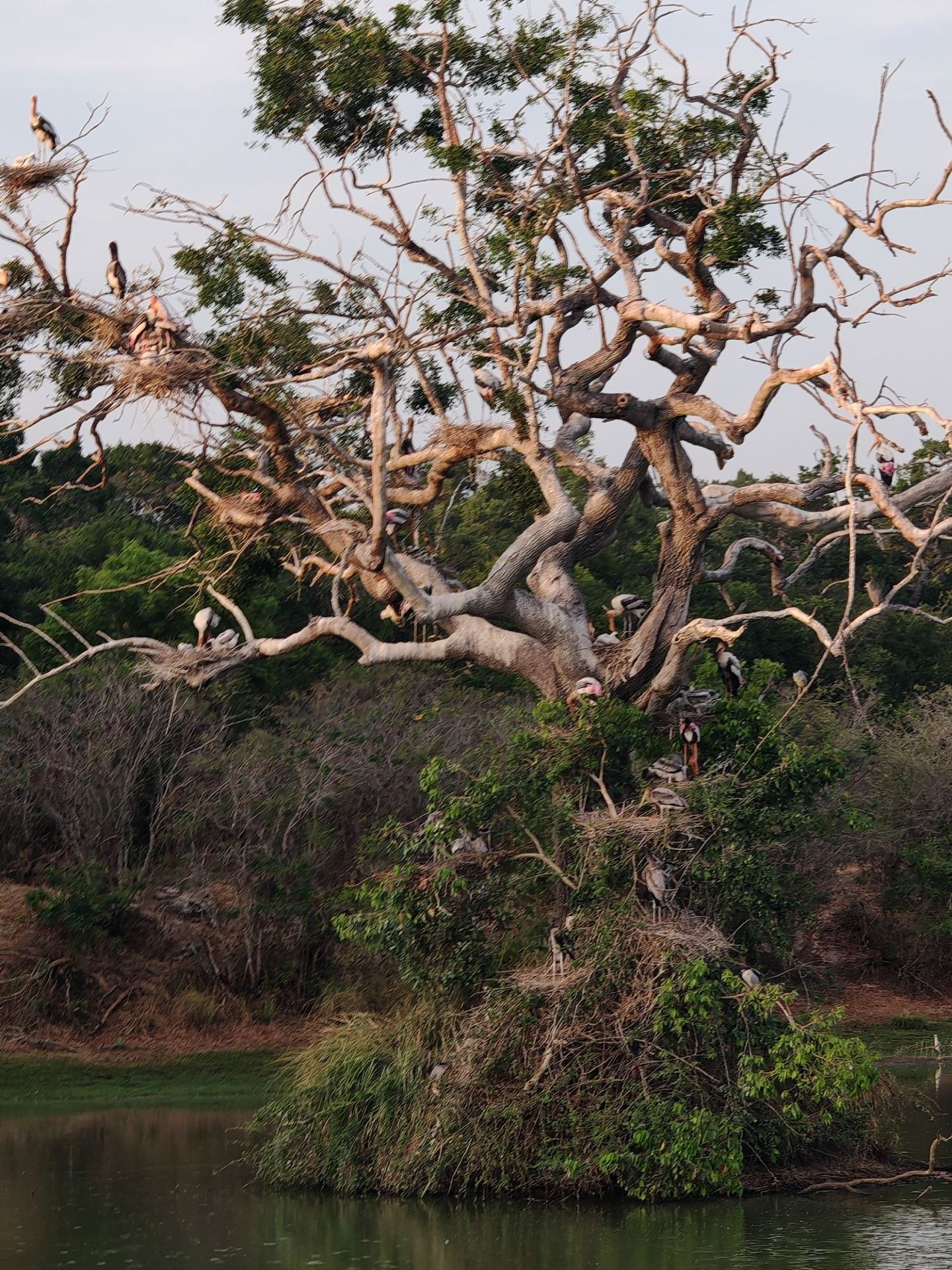 Sri Lanka Wonders