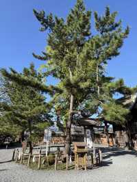 【熊本】｢日本三大楼門｣のひとつ｢阿蘇神社｣