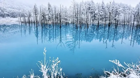 Hokkaido: A Magical Journey Through Japan’s Snowy Northern Paradise 🇯🇵❄️ — traveler post in Shari