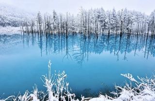 北海道：雪が舞う北の楽園。神秘に包まれた絶景を巡る旅へ。