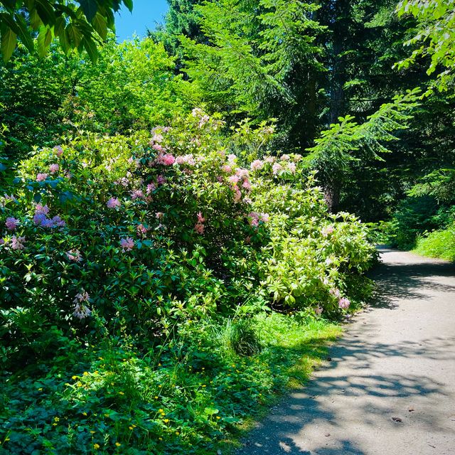 Washington Park Arboretum