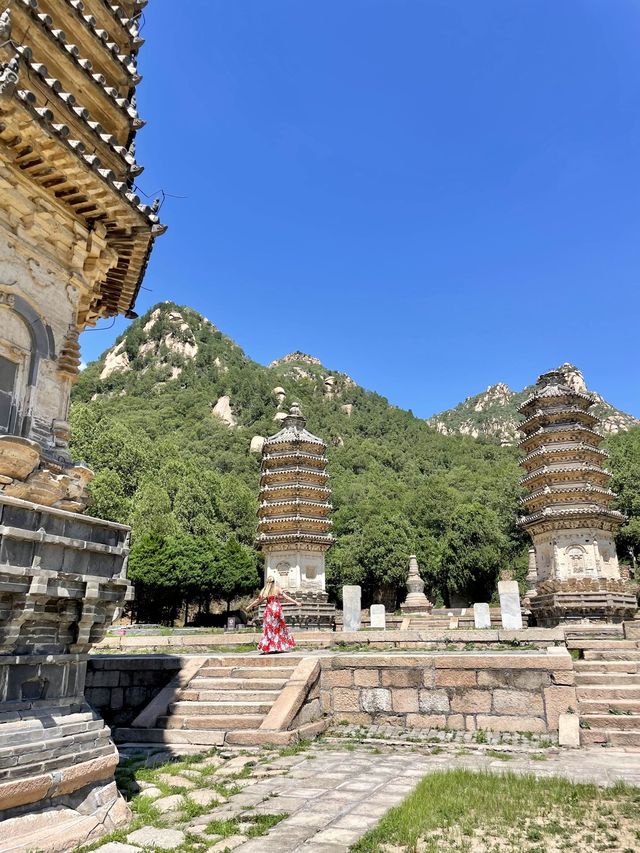 Beijing’s Incredible Pagoda Forest