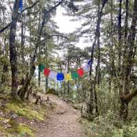 🏞️✨ A Journey to Bhutan’s Tiger's Nest! ✨🏞️