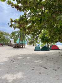 Starfish Paradise in Balabac 