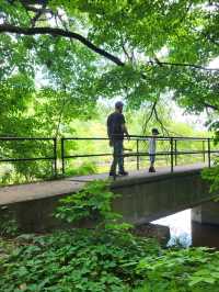 Roots, Rocks, and Rivers: Exploring Grand Ledge’s Hidden Trails