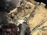 The 2,200-Year-Old Bronze Chariots of the first Emperor of China