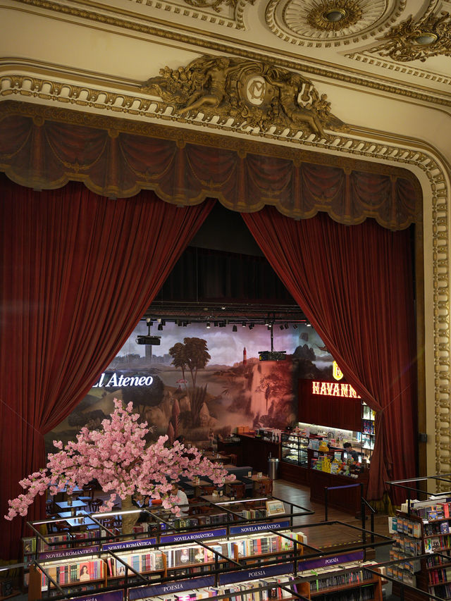🇦🇷アルゼンチン 元映画館の本屋さん📘 🇦🇷アルゼンチン 元映画館の本屋さん📘