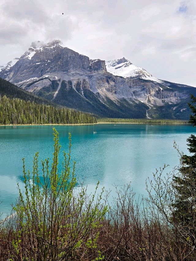 💎 Emerald Lake – Yoho’s Gem! 🌲🏔️ 💎 Emerald Lake – Yoho’s Gem! 🌲🏔️