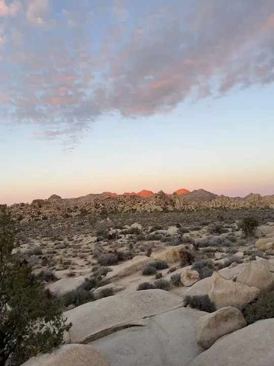 ⛺️ Camping in Joshua tree 🔥🇺🇸