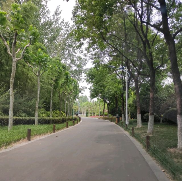 Visiting Huai'an Zoo