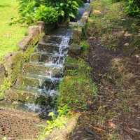 Alton towers gardens