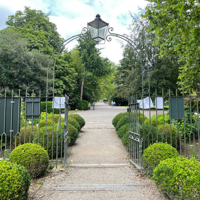 Sydney garden