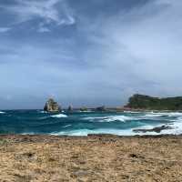 Where Nature Meets Caribbean Beauty