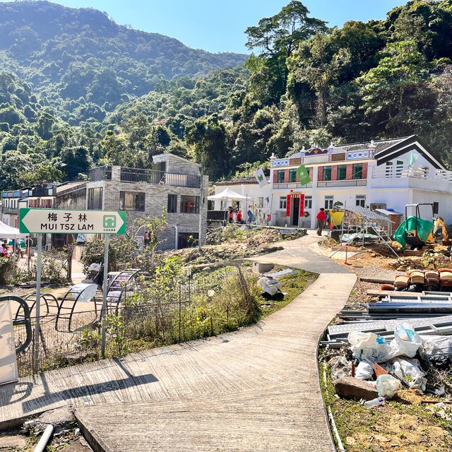 荔枝窩行山推介