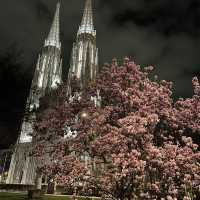 Vienna in the spring 