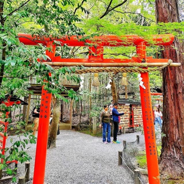 💝野宮神社💜激發愛情聞名的戀愛神社👩‍❤️‍💋‍👨