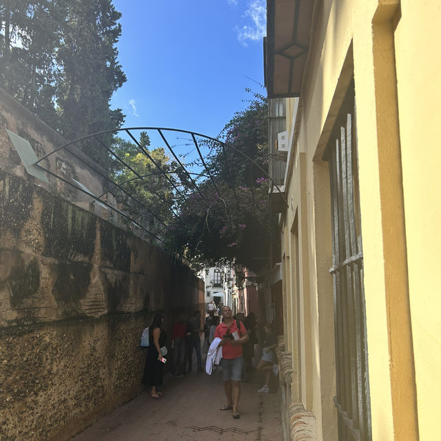 A walk around Seville