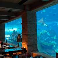 IF HOSPITALITY WAS A RESTAURANT! 