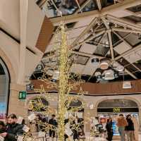 Celebrate Christmas at Auchan Taranto: A Wonderland of Lights and Wishes!  