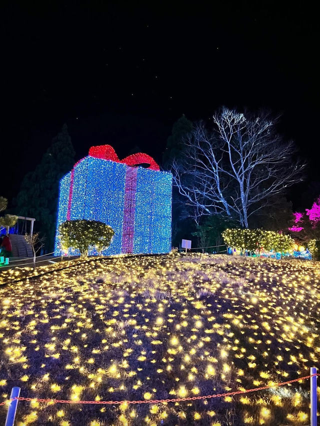 Mirokuno sato illumination 