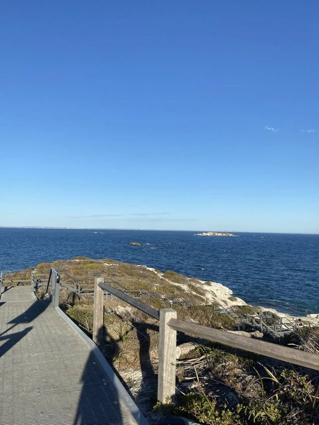 Rottnest Island 🗺️