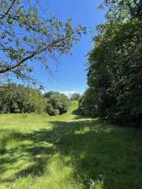 Epping Forest Walk
