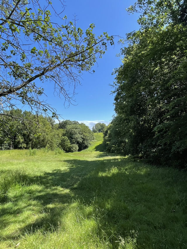 Epping Forest Walk