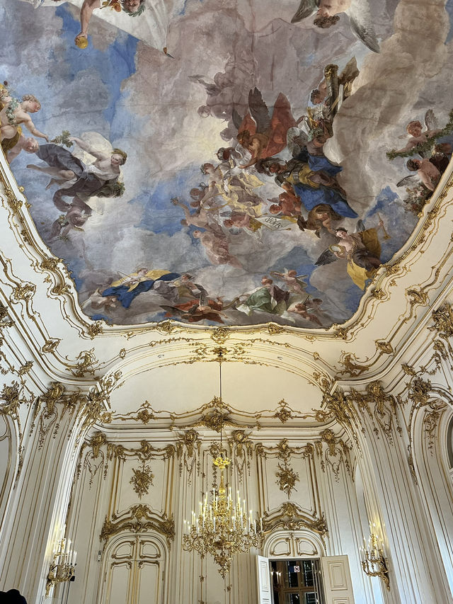 Vienna is beautiful 