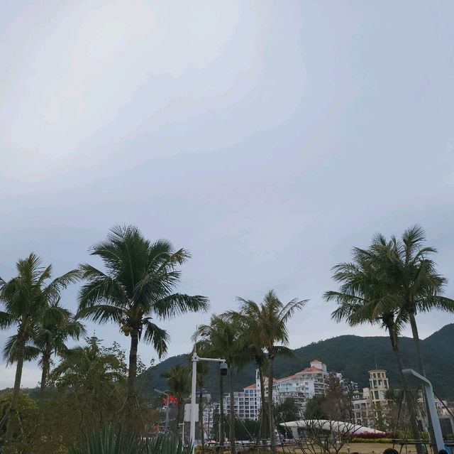 🌴🌊 Escape to Paradise at Dameisha Beach, Shenzhen! 🇨🇳