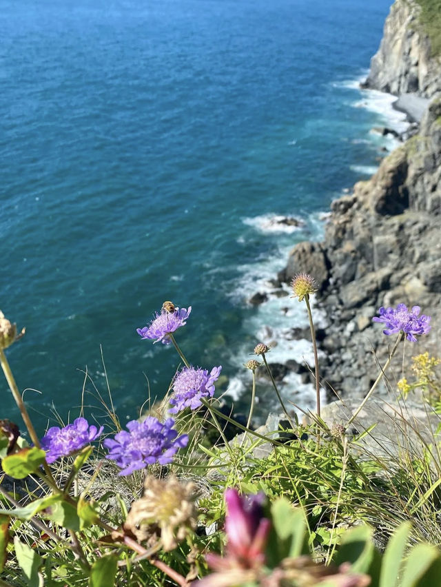 A beautiful lighthouse on a cliff