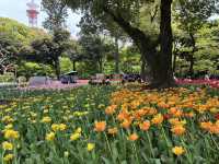 【横浜公園】