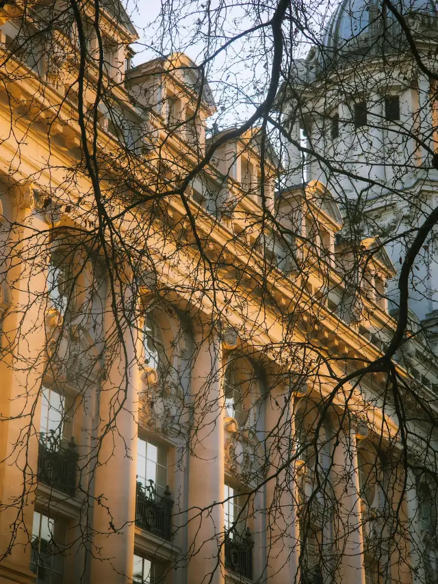Trafalgar Square in Full Bloom 🕊️