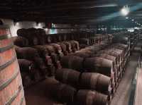 Taylor’s Port — 一場釀製的邂逅