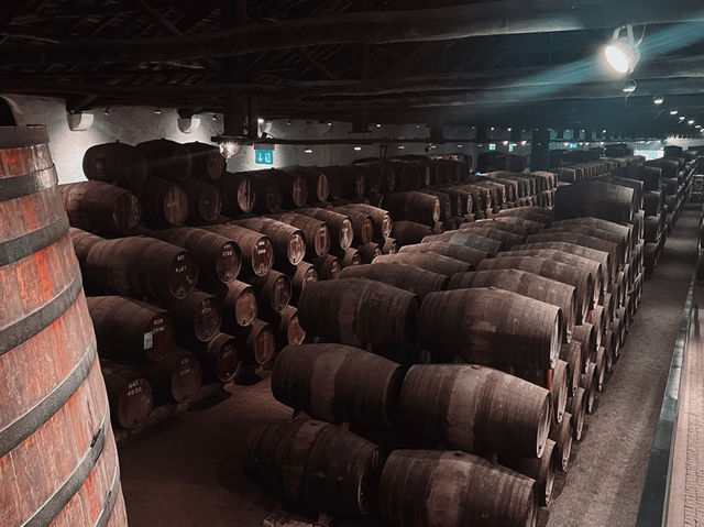 Taylor’s Port — 一場釀製的邂逅