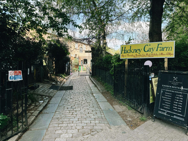 🐐 Hackney City Farm: A Slice of Countryside in the Heart of East London