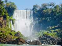 Iguazú Falls - a natural wonder that will take your breath away! 