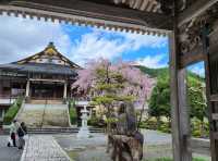Gujo Hachiman: a charming little scenic town without crowds