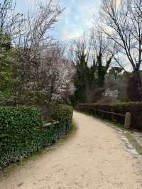 Explorer’s Path to the Castle