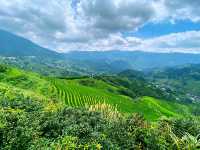 🌾 Stairway to Heaven: LongJi’s Golden Rice Terraces 🌄