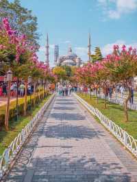 Istanbul 🇹🇷❤️