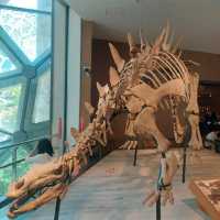 An excellent dinosaurs collection in Shanghai Natural History Museum 