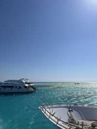 Budget Diving Escape in Sharm – All in for $100!