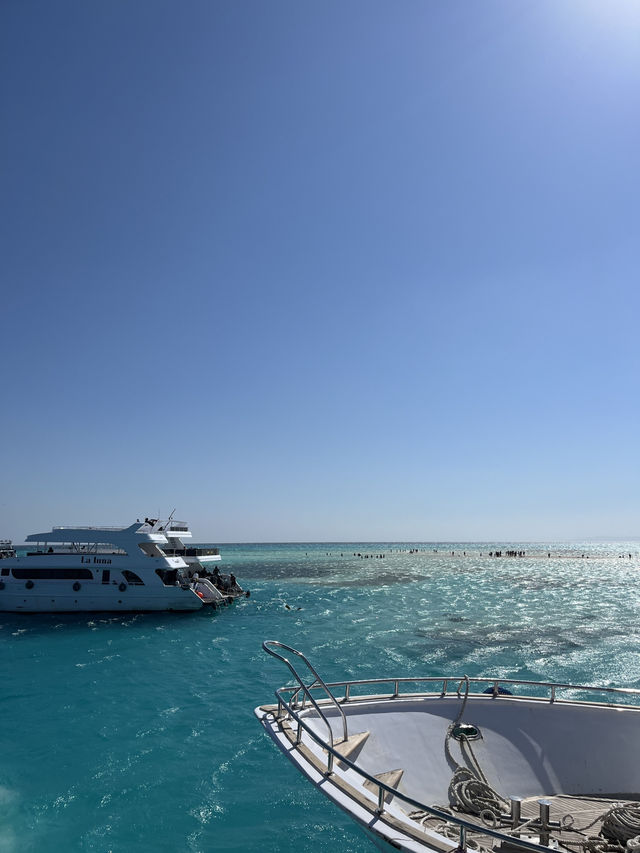 Budget Diving Escape in Sharm – All in for $100!