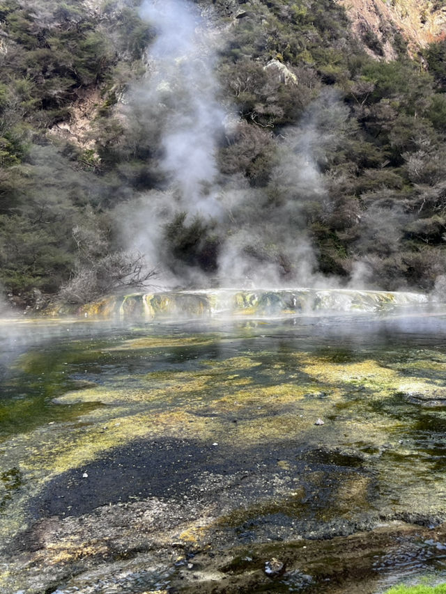 看看火山爆發🌋