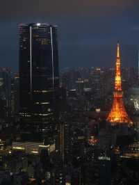 Tokyo | The best place to enjoy Tokyo view 