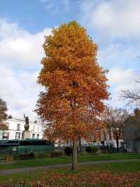 Winchester Autumn trip 2024