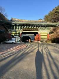 Get Ready to discover the hidden wonders of Daegu!