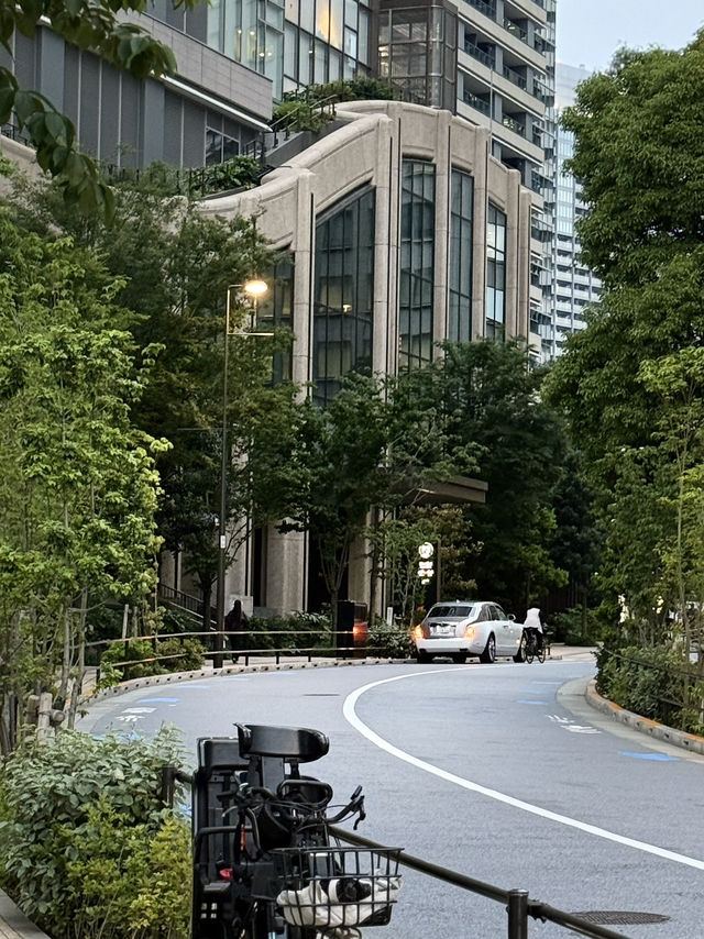 Tokyo, Japan 🤍 Tokyo, Japan 🤍