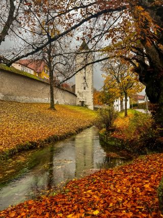 이스니 임 알가우의 가을 속 속삭임