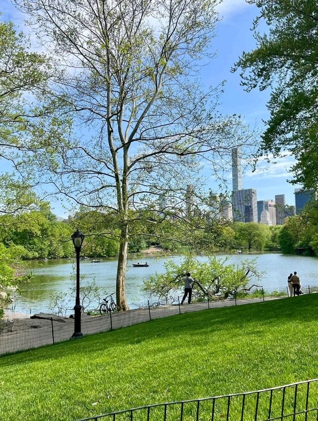 Central Park, it’s basically Hollywood’s favorite green screen!